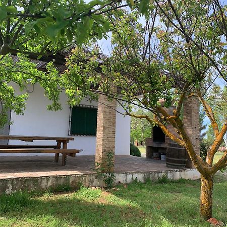 Gran Casa, Lagunas De Ruidera, Bbq, Porche, Chimenea Exterior photo