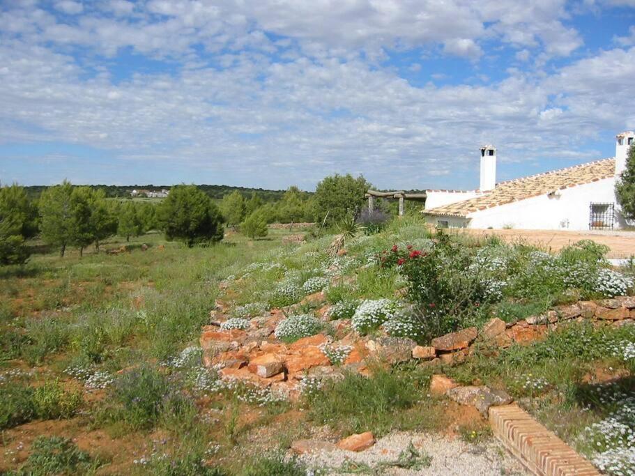 Gran Casa, Lagunas De Ruidera, Bbq, Porche, Chimenea Exterior photo