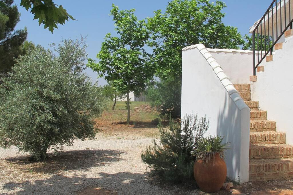 Gran Casa, Lagunas De Ruidera, Bbq, Porche, Chimenea Exterior photo