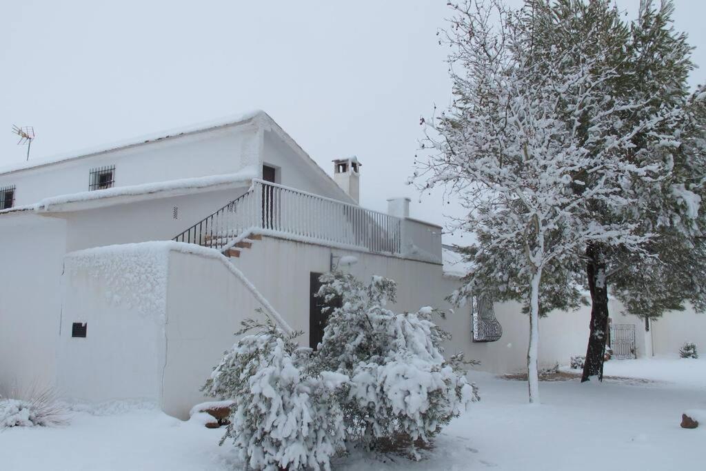 Gran Casa, Lagunas De Ruidera, Bbq, Porche, Chimenea Exterior photo