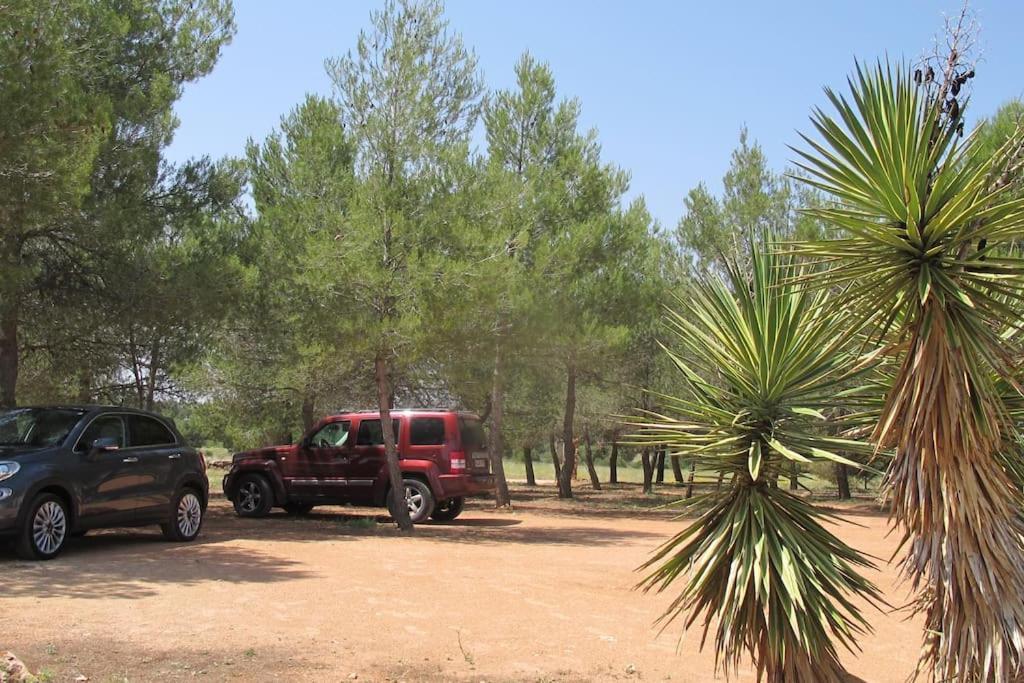 Gran Casa, Lagunas De Ruidera, Bbq, Porche, Chimenea Exterior photo