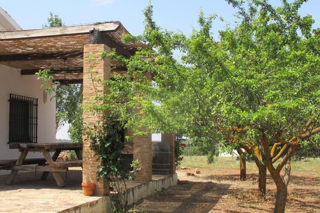 Gran Casa, Lagunas De Ruidera, Bbq, Porche, Chimenea Exterior photo